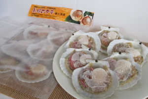 �{�B�z�^�e���˂̒n�@�k�C���L�Y���@�{�B�z�^�e�@���Θp�Y