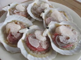 �{�B�z�^�e���˂̒n�@�k�C���L�Y���@�{�B�z�^�e�@���Θp�Y