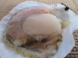 �{�B�z�^�e���˂̒n�@�k�C���L�Y���@�{�B�z�^�e�@���Θp�Y